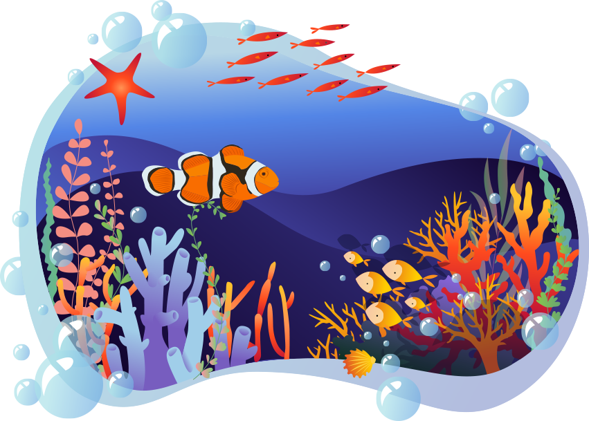 Ocean World Aquariums West Palm Beach